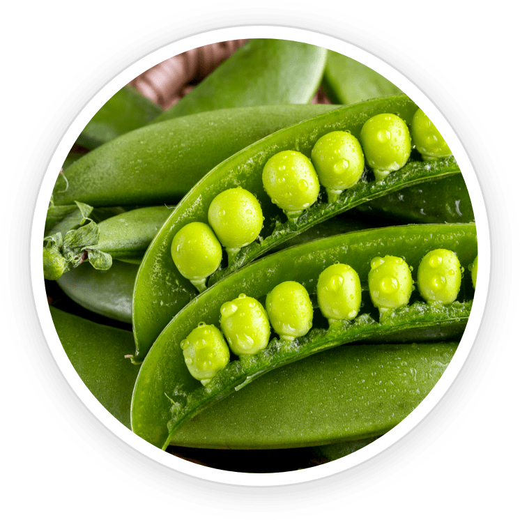 ingredient3 ingredient3
