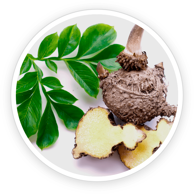 ingredient4 ingredient4